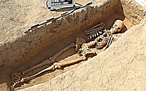 A skeleton in a grave  Description automatically generated