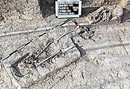 A close-up of a skeleton in the ground  Description automatically generated