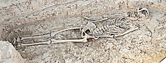 A skeleton in the ground  Description automatically generated