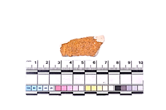 A piece of clay with a ruler  Description automatically generated