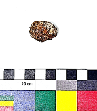 A small brown rock next to a small colorful square  Description automatically generated